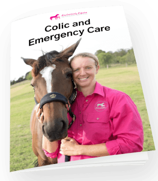 Dr Louise Cosgrove BVSc, Principal Equine Veterinarian at EEVS